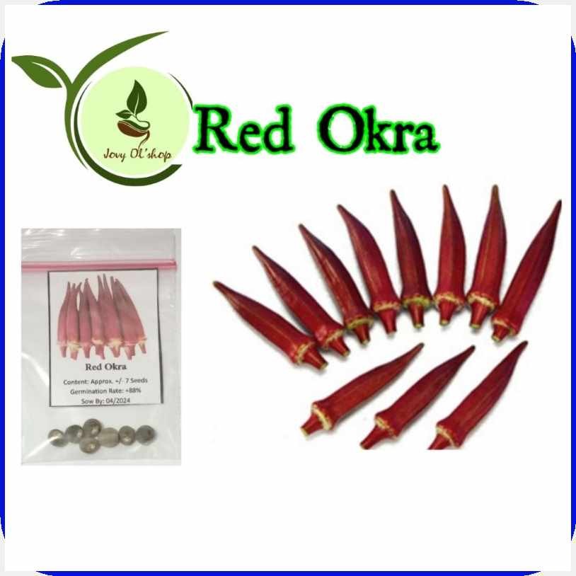 Redp]Okra_E'VegetablefSeeds | Shopee Philippines