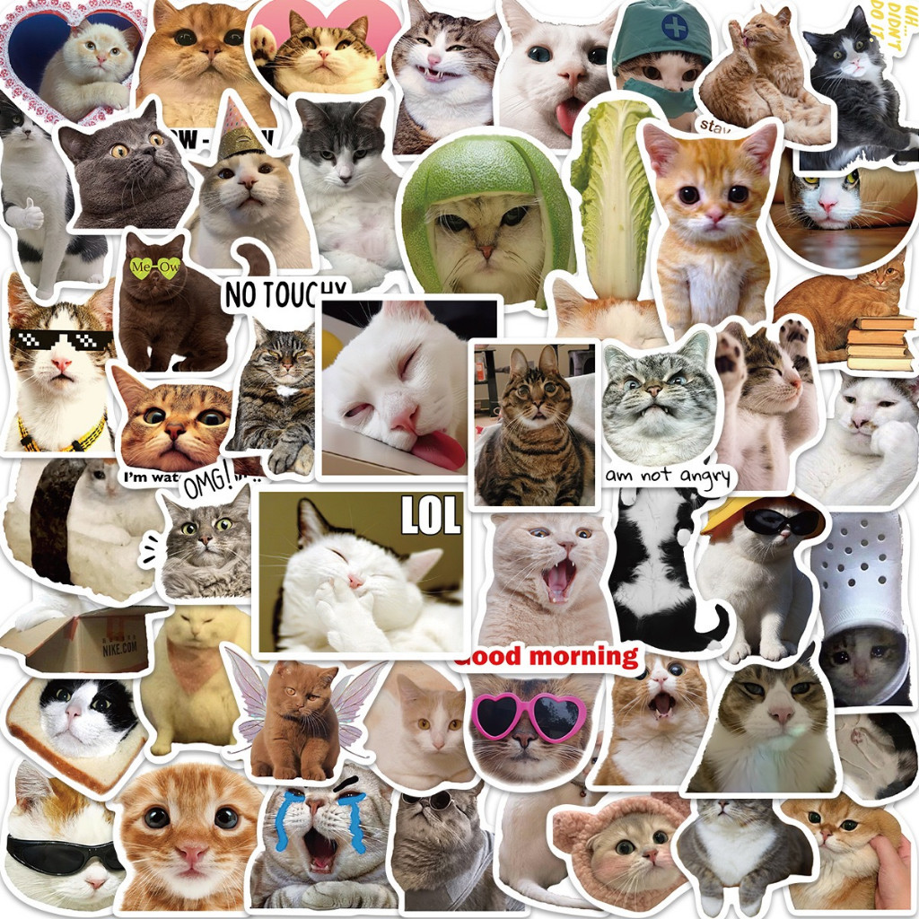 50Pcs Funny Cats Emoji Series Stickers DIY Luggage Laptop Waterproof ...