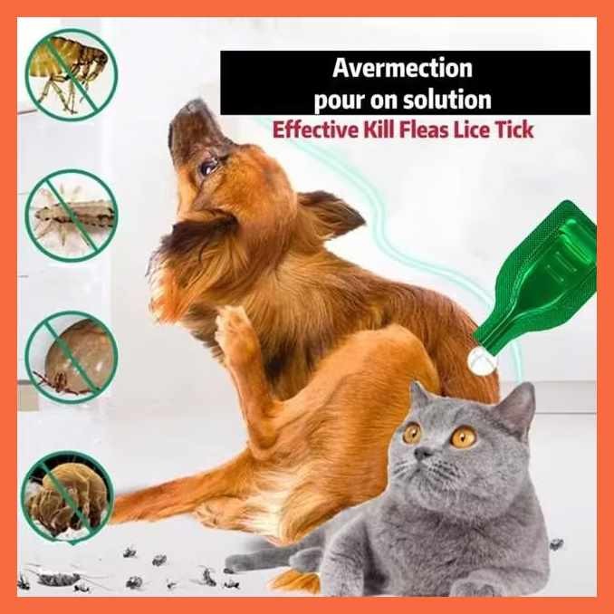 Garapata Remover For Dog Insect Repellent For Dog Flea and Tick Spot ...