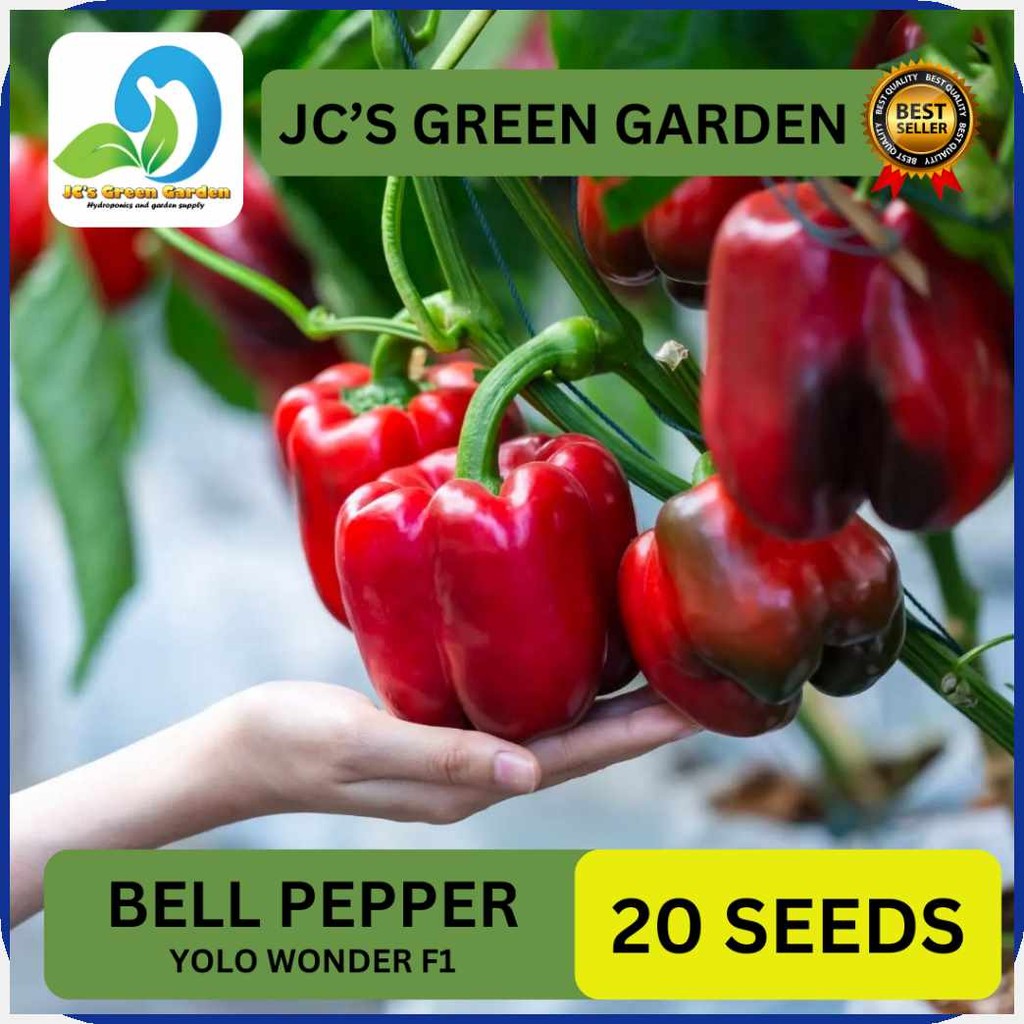 VALUE|sS[PACK-a?(20^s/SEEDS)$j:HYBRID%F:BELL%m:PEPPER/YOLO%D:WONDER ...