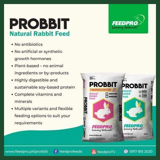 Feedpro:BO)-:Rm=Probbit-yFRabbitwcRepacked | Shopee Philippines