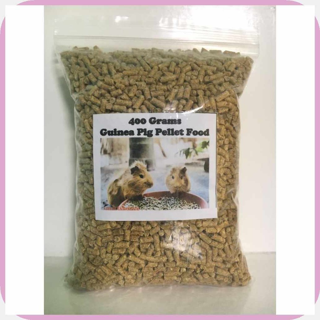 Guinea Pig and Rabbit, 400 grams Pellet Food | Shopee Philippines