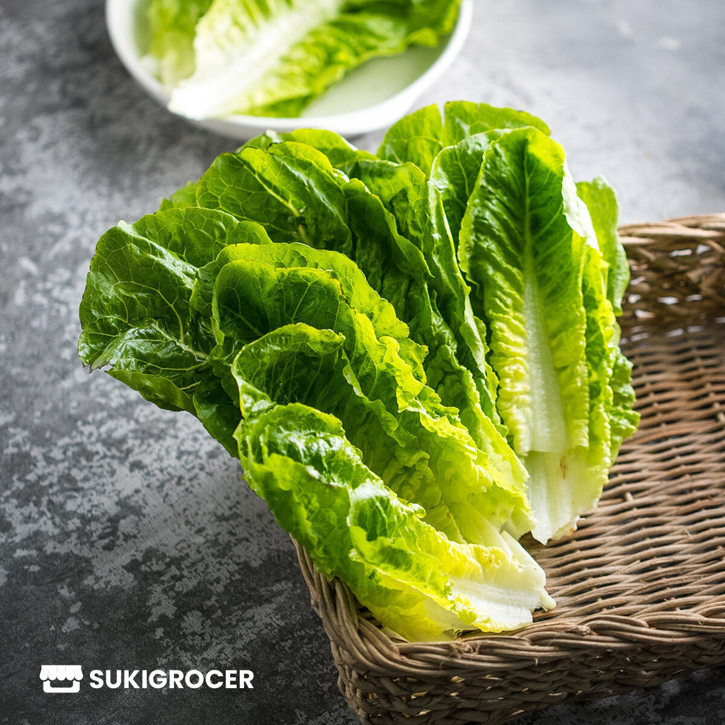 Sukigrocer+TF_Lettuce#Jr+Romaine_k:230-250g | Shopee Philippines