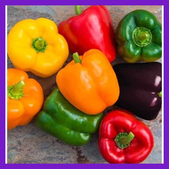Rainbow-Ve$Bell%Ae@Pepper!s,B+D+e+h+q+Vegetable Seeds ( 50 seeds ...