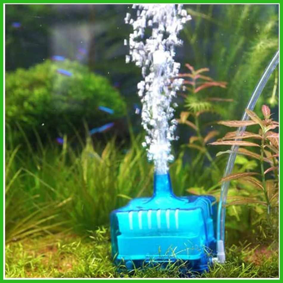 View of Aquarium Water Biological Filter Aquarium Fish Tank Filter Fish Tank ...