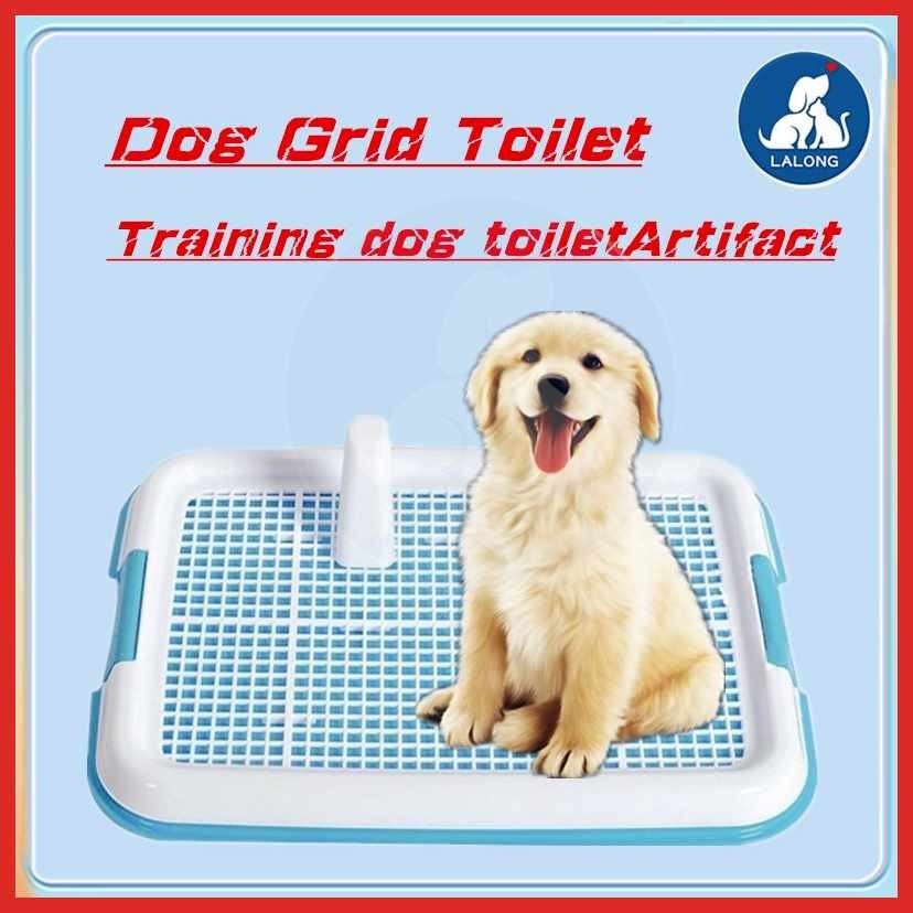 Dog`vy|Training}kZ/Potty^O$(With_p%Stand)_U%Trainer_V%Puppy_O%poop_x ...
