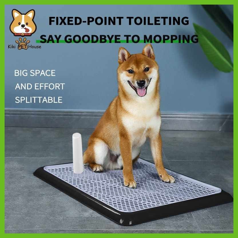 Dog}R>Training*DR?Potty)Rs>Pad)Nz>Dog)eg>Pee)Gf>Potty)XK>Trainer)ff>Dog ...