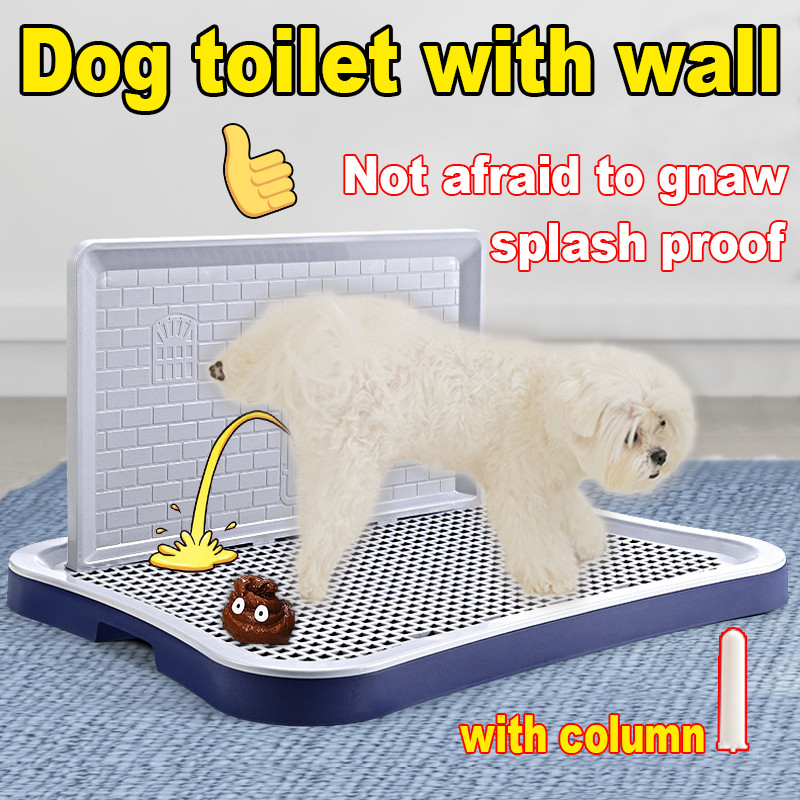 PottyM'Trainer:aOfor'aY{dogs