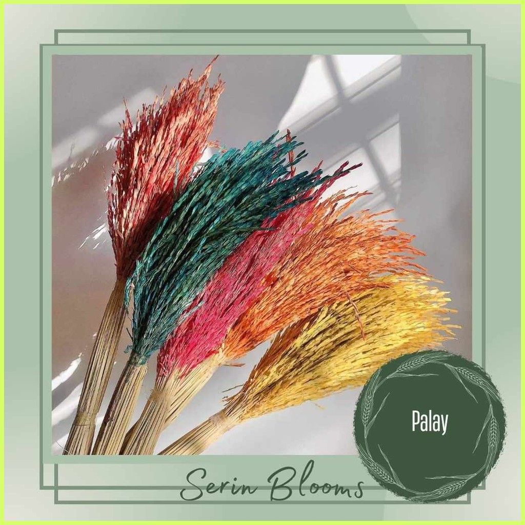 Local(Q:Dried(W_Palay+R@W@Z[m!(sold[f!per[z!bundle) | Shopee Philippines