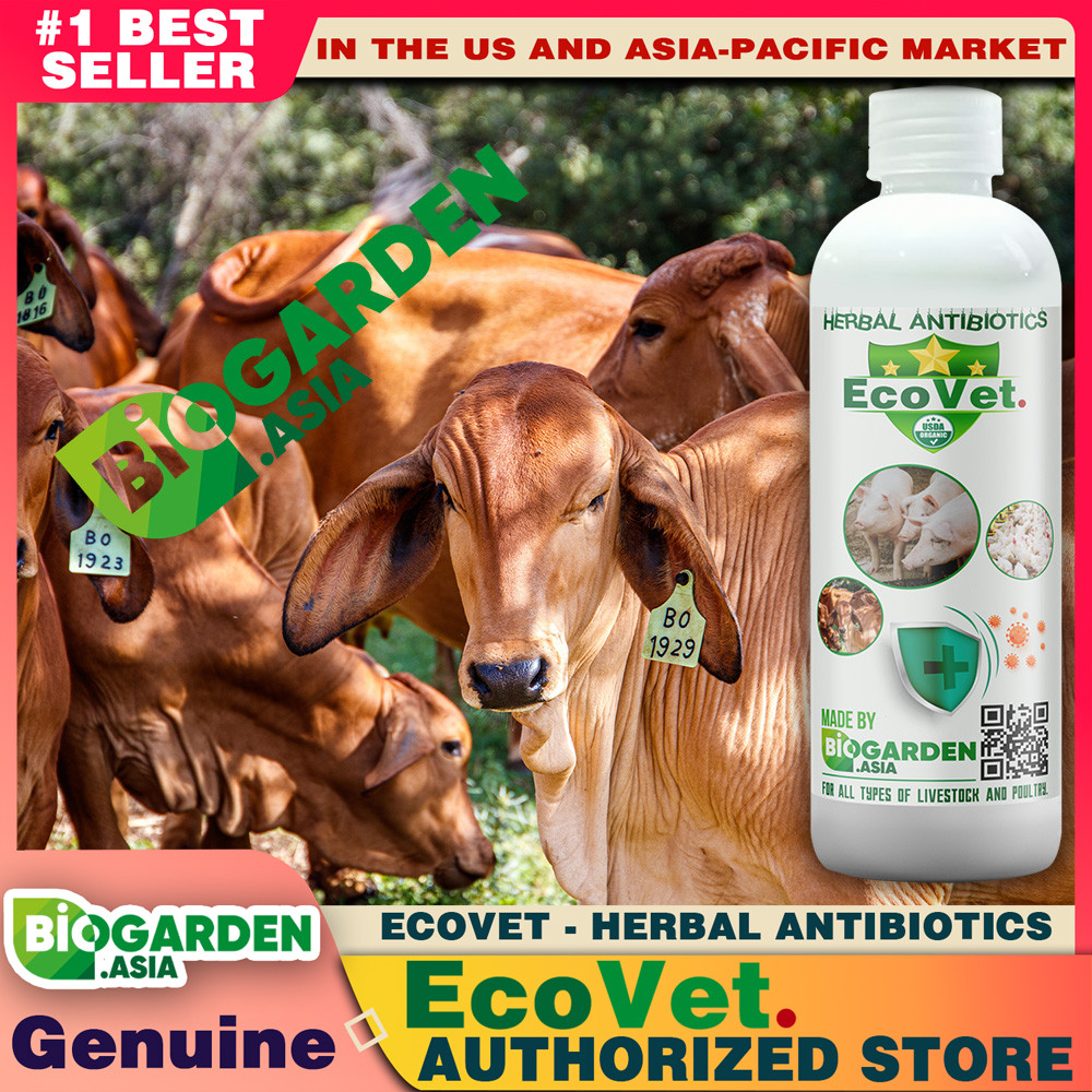 Ecovet Pulbos na Suplemento ng Probiotic, Mahalagang Nutrisyon para sa ...