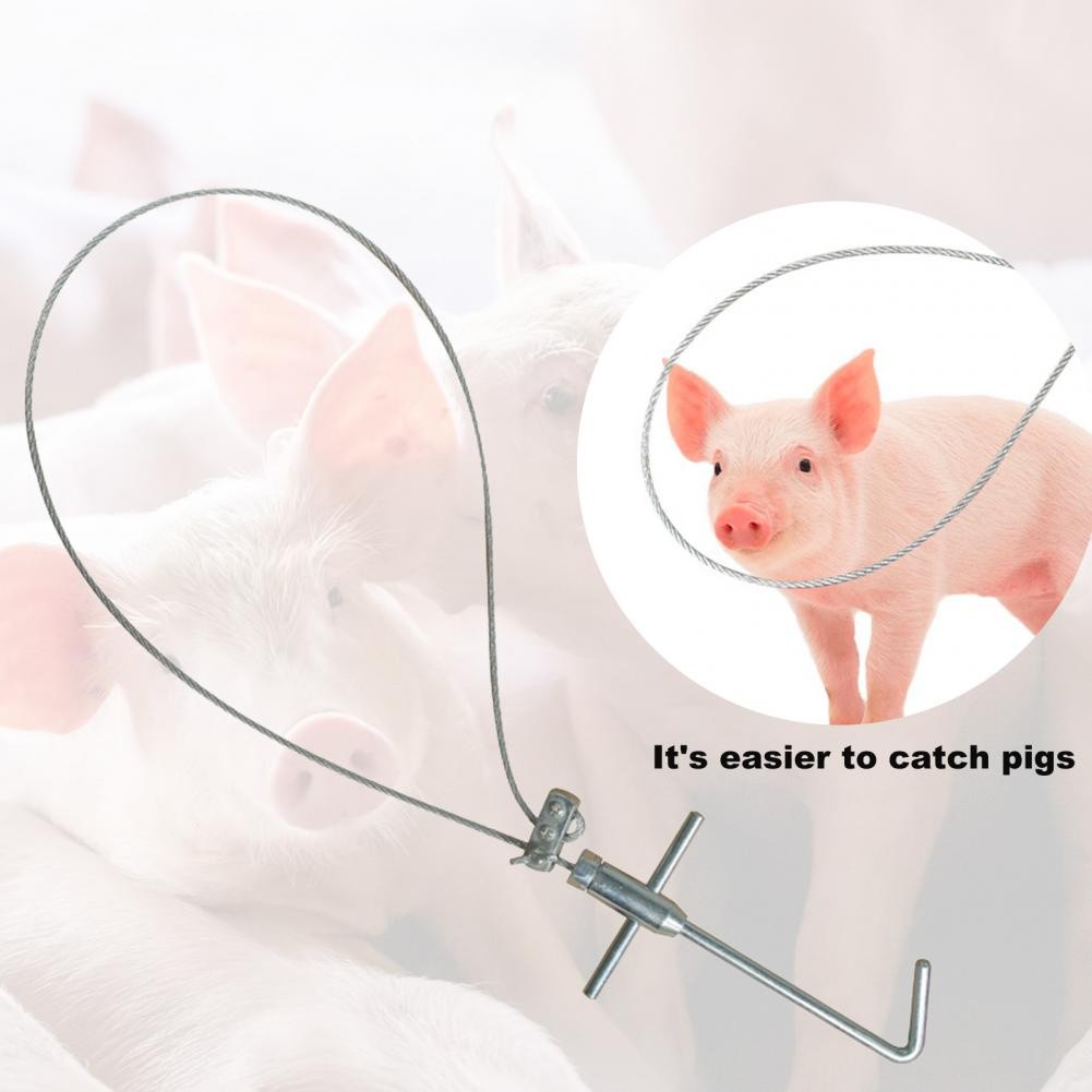 Pig Fixed Rope Catcher Dog Pig Holder Stainless Steel Livestock Snare ...