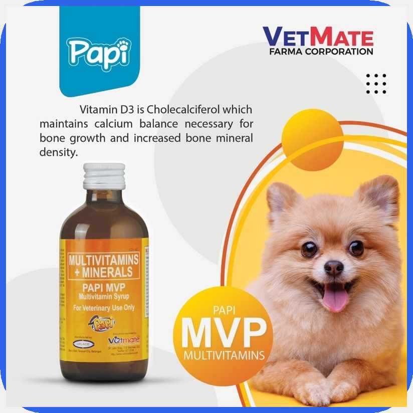 PAPI MVP MULTIVITAMINS SYRUP Pet Vitamins | Shopee Philippines
