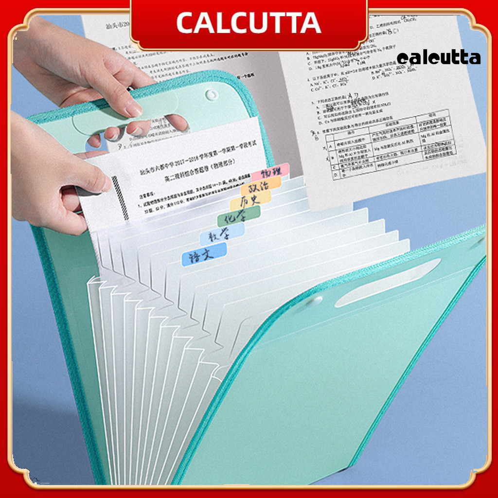 [cal]Vertical A4 File Organizer Bag 13-Layer Large Capacity Expanding ...