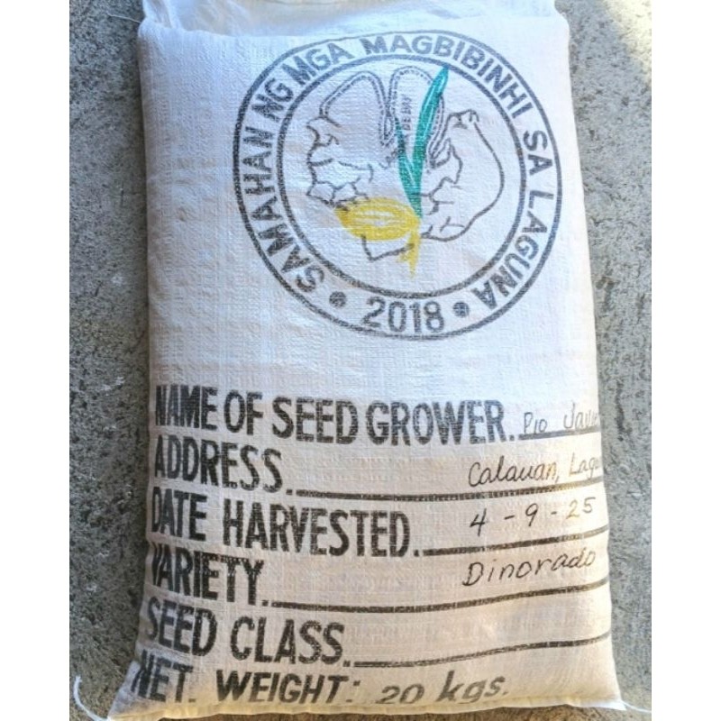 Palay/Binhi/Rice#bR]Nk(Seeds IRRI David DINORADO.Rs#(20]WN.kg) | Shopee ...