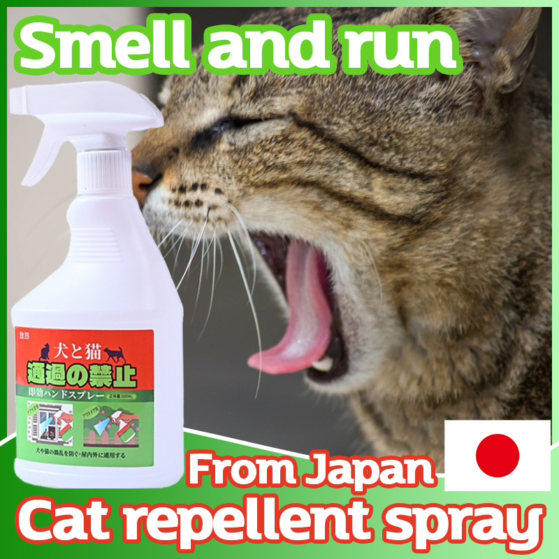 A closer look at Low Cost Flea Repellant For Cats Indoors