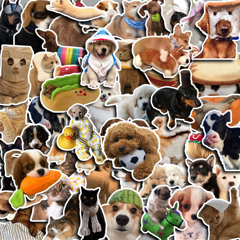 50pcs Funny Cat and Dog Stickers Diy Computer Washi Scrapbooking ...