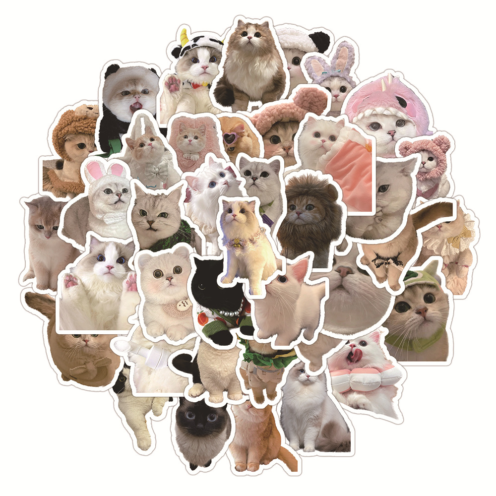 60Pcs Realistic kitten Series Graffiti Stickers for Suitcases Mobile ...