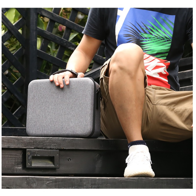 Hard Carrying Case Bag for Nintendo Switch & Switch Oled Bag Shell ...