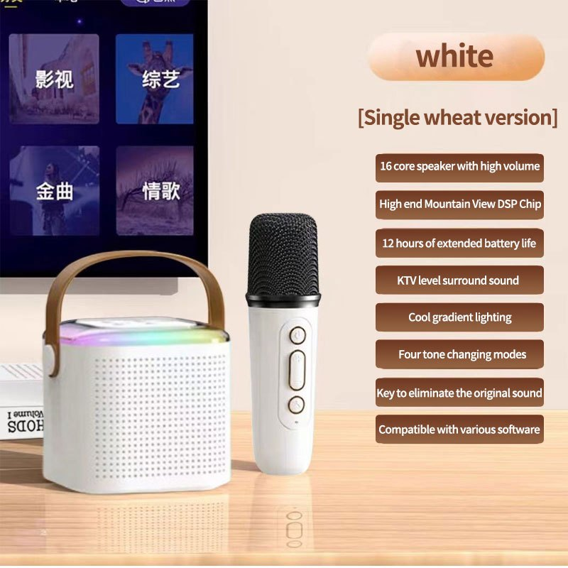 Y1 Portable Speaker with Microphone Mini Karaoke Bluetooth Speaker with ...