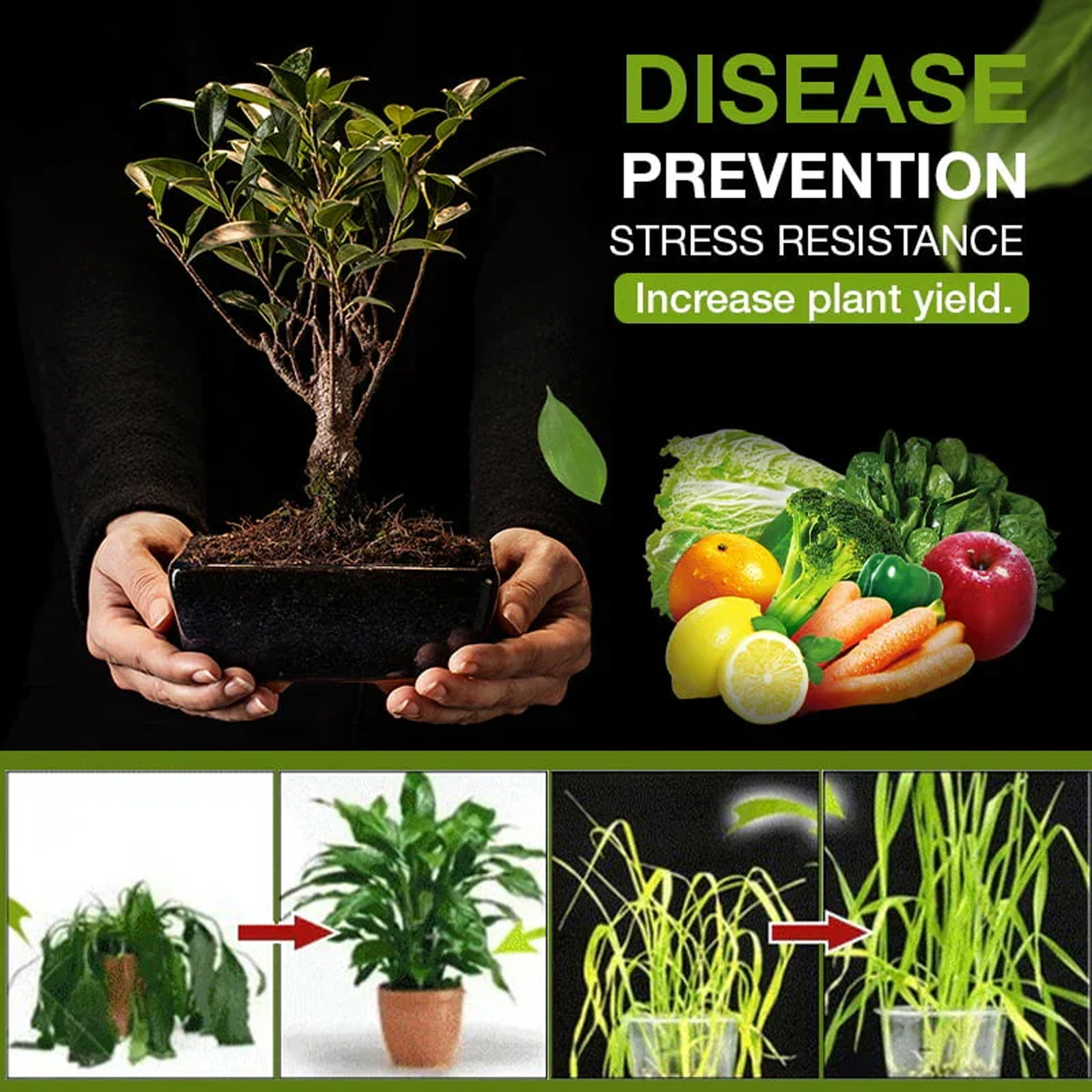 One Pack Soil Activator 120g, Organic Plant Growth Enhancer For Boost ...