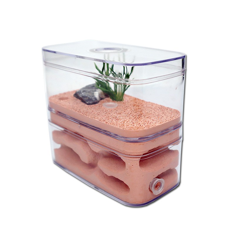 12*6*10cm Highly Moisturizing Ant Farm Plaster Ant Nest Insect Box With ...
