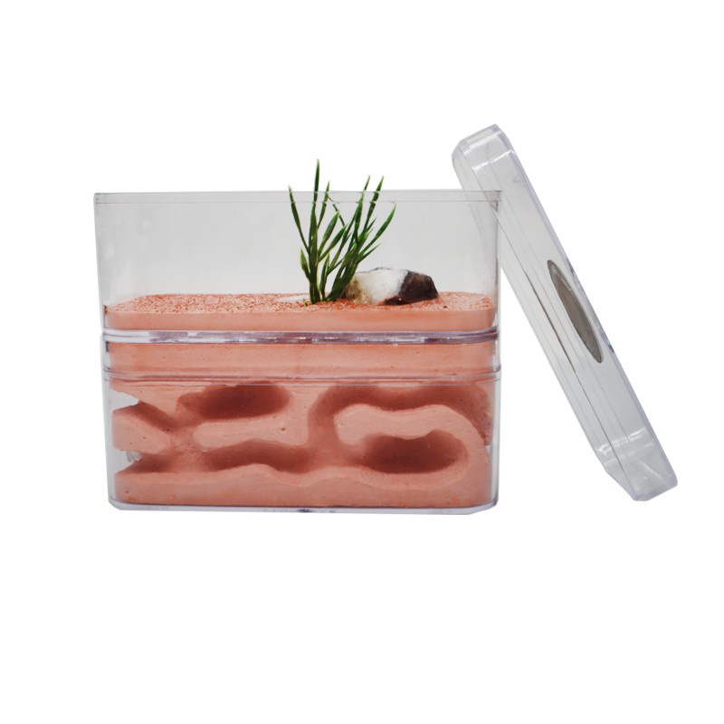 12*6*10cm Highly Moisturizing Ant Farm Plaster Ant Nest Insect Box With ...