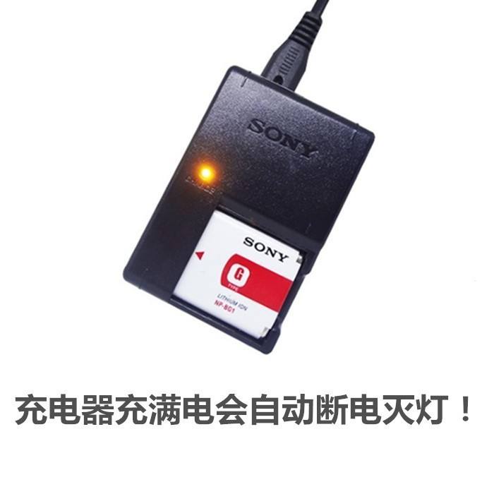 Sony DSC-T20 T100 H7 H9 HX10 HX30 camera NP-BG1 battery + charger ...