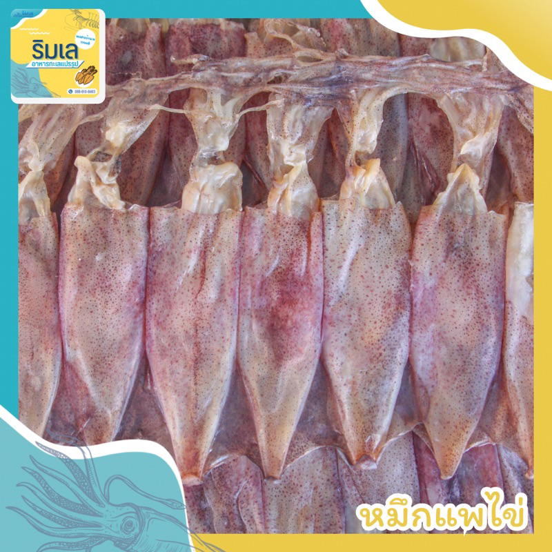 Squid Raft Dried Items Rayong Ink Authentic Delicious Not Salty ...