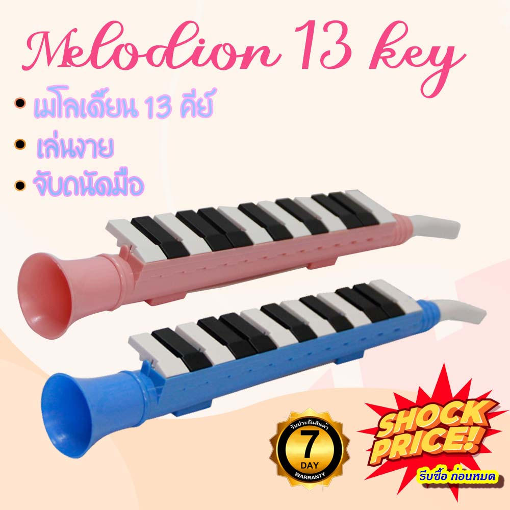 Harrier Melodion 13 Keys Melodica Instrument | Shopee Philippines
