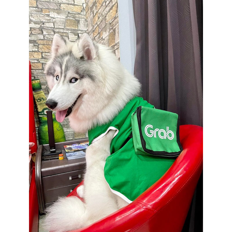 Green Rider Set Dog Food Delivery Clothes Cats Shirts And Bags Pet ...