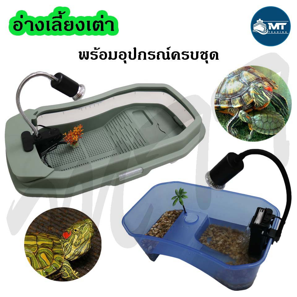 Turtle Tank There Are 2 Types Of Plastic Tanks (Japanese Made Of Good Quality Plastic) Shopee