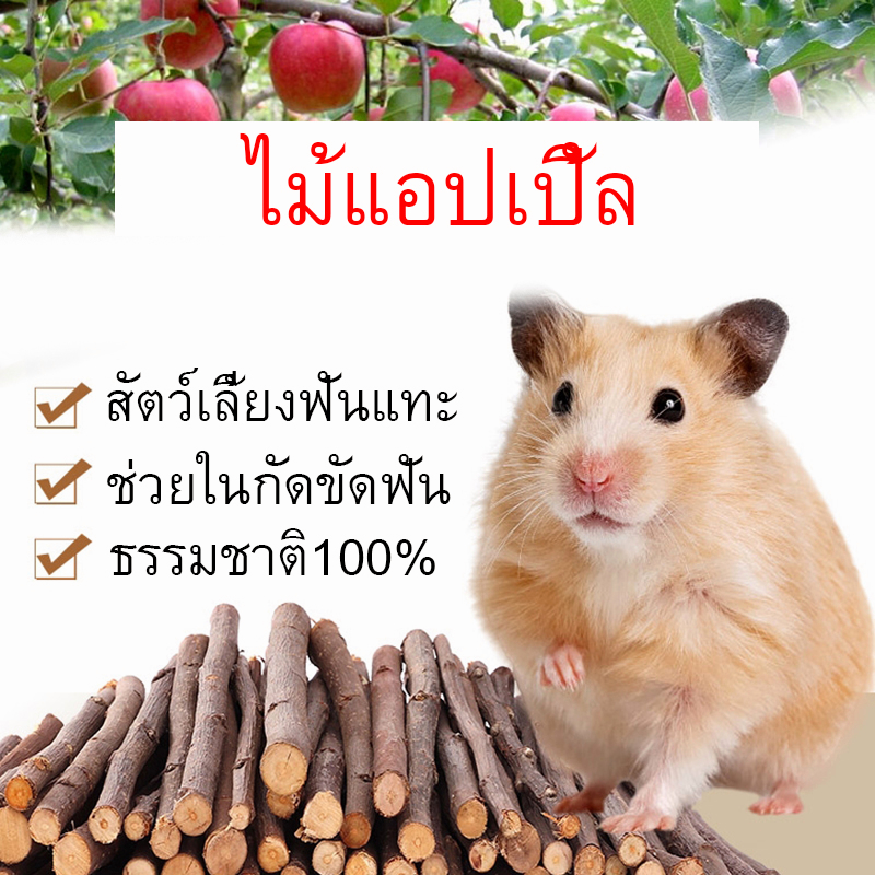 Apple Wood Secret Tooth Rabbit Sugar Hamster Healthy Teeth Of All