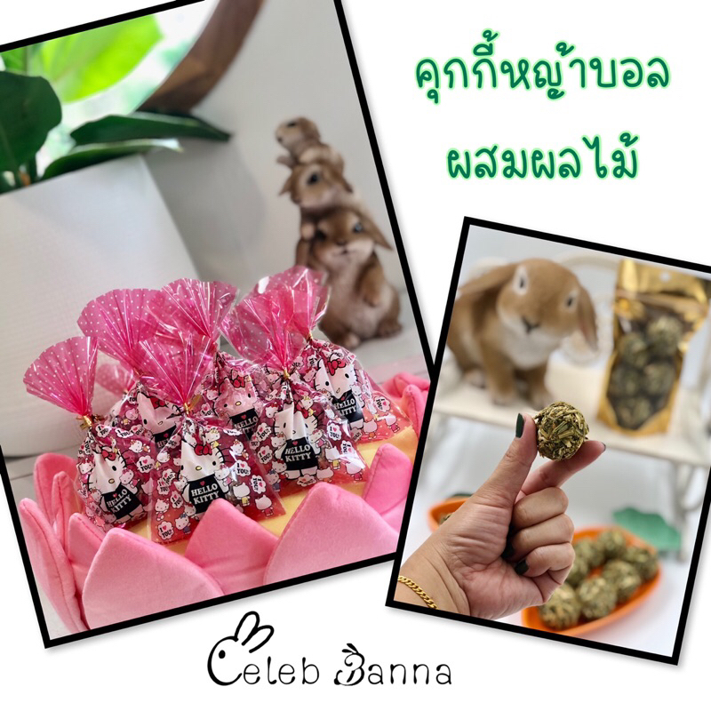 !!️Ready To Serve!!Grass Ball Cookies ️Rabbit Rabbit Snacks Gatsby ...