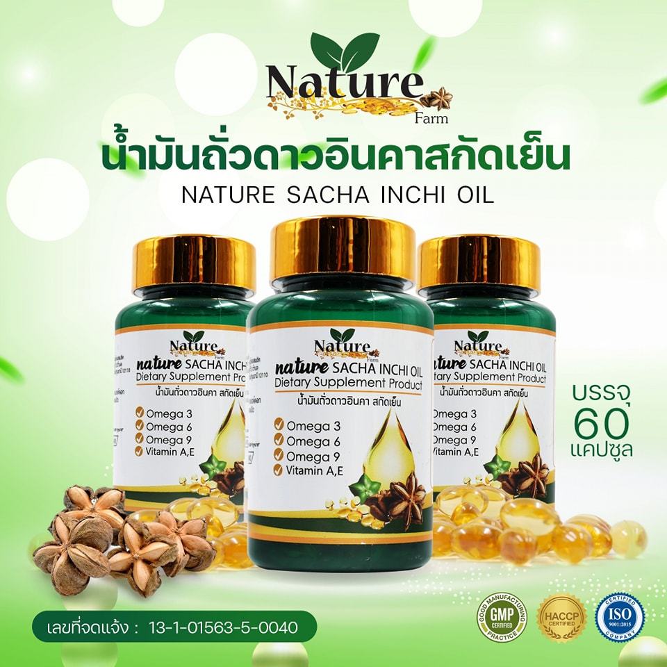 Nature Farm Cold Pressed Inca Star Nut Oil [60 Capsules] Insomnia ...