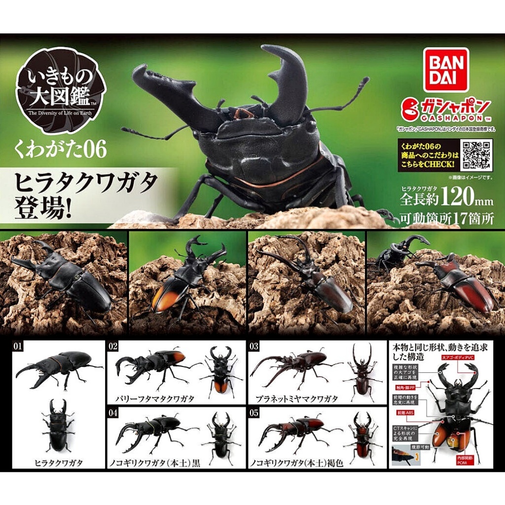 Gashapon Beetle Bandai Kuwagata Stag Action Vol.06 Animal Model