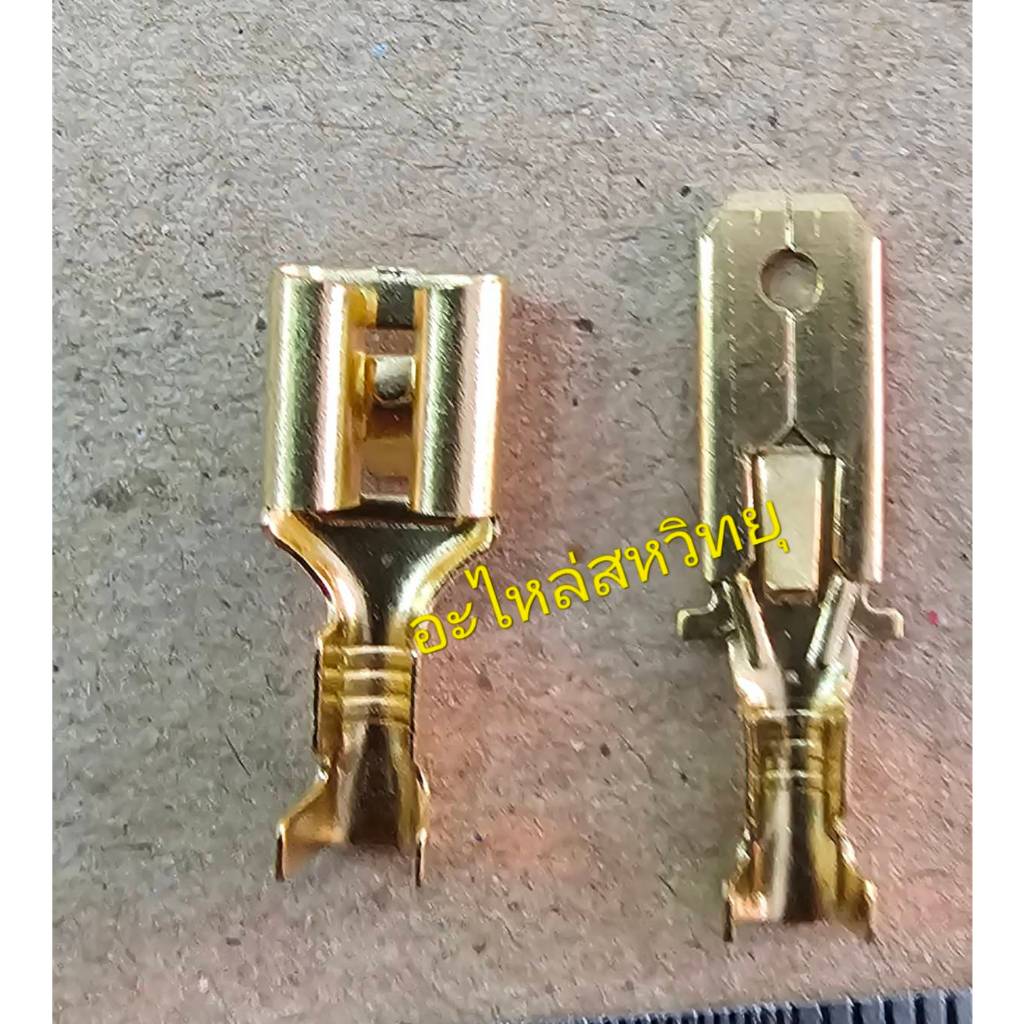 (Pack Of 5 Pairs) Fishtail Plug-In Type Male-Female Bare Copper ...