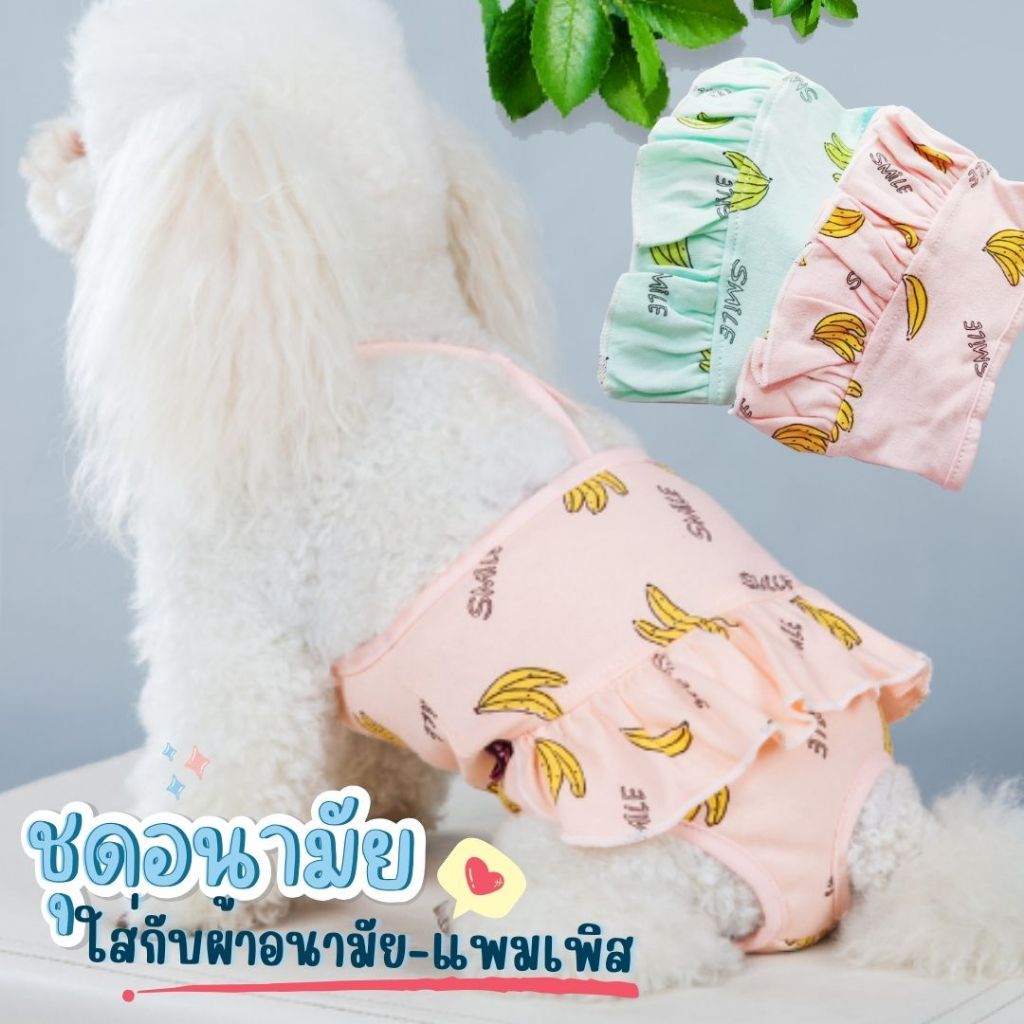 Picture of Small Breed Dog Skirt Sanitary Set Used In A Heat Preservation. With ...