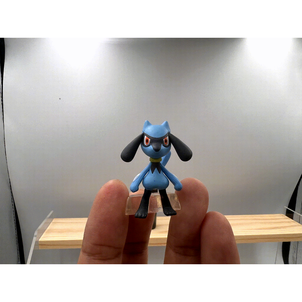 Pokemon Scale World: Riolu (New Unwrapped) | Shopee Philippines
