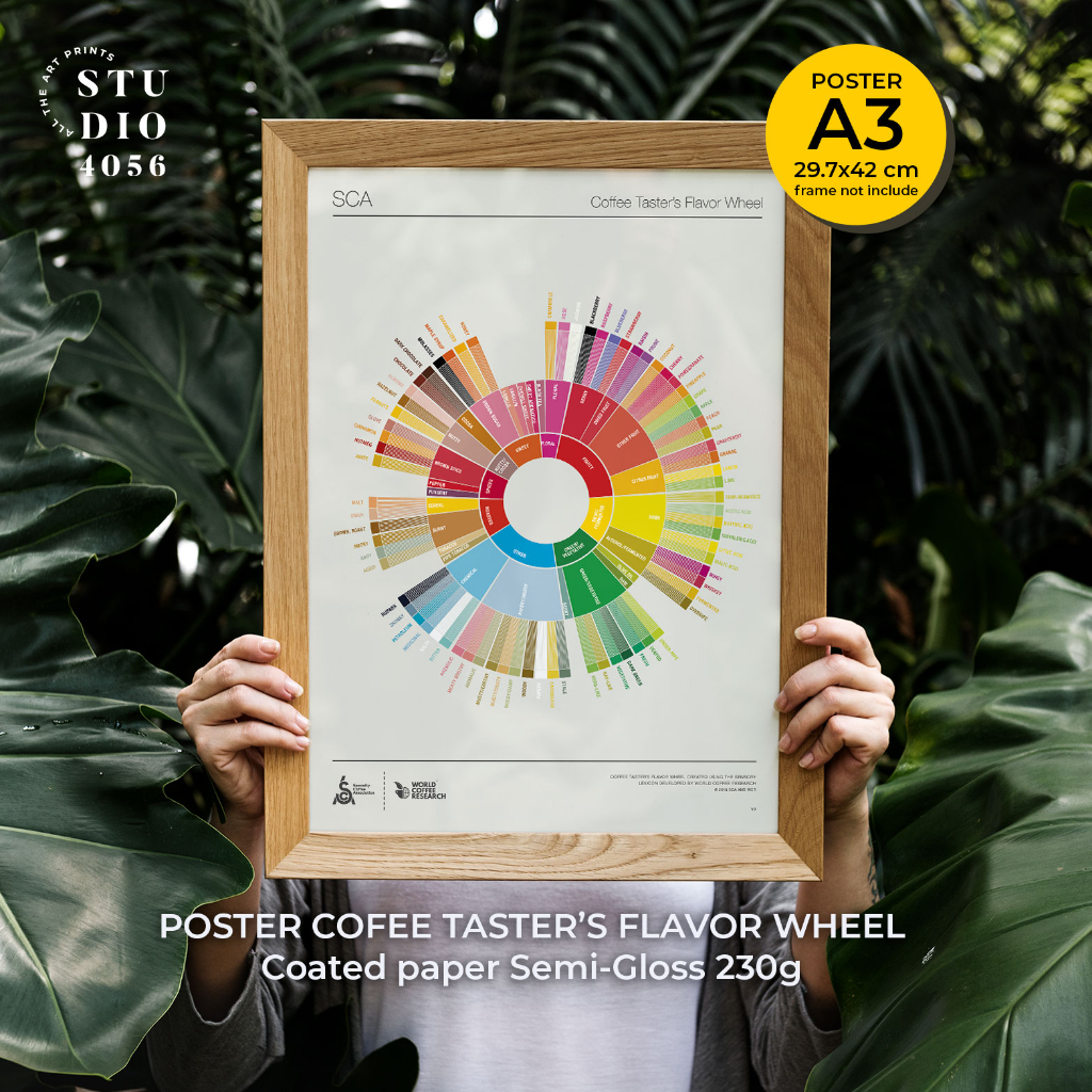 THE COFFEE TASTER'S FLAVOR WHEEL POSTER SCA (002) size A3 Unframed ...