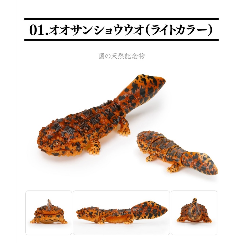 Giant Gachapon Salamander-Dea Dog Bandai Ikimono Encyclopedia ...