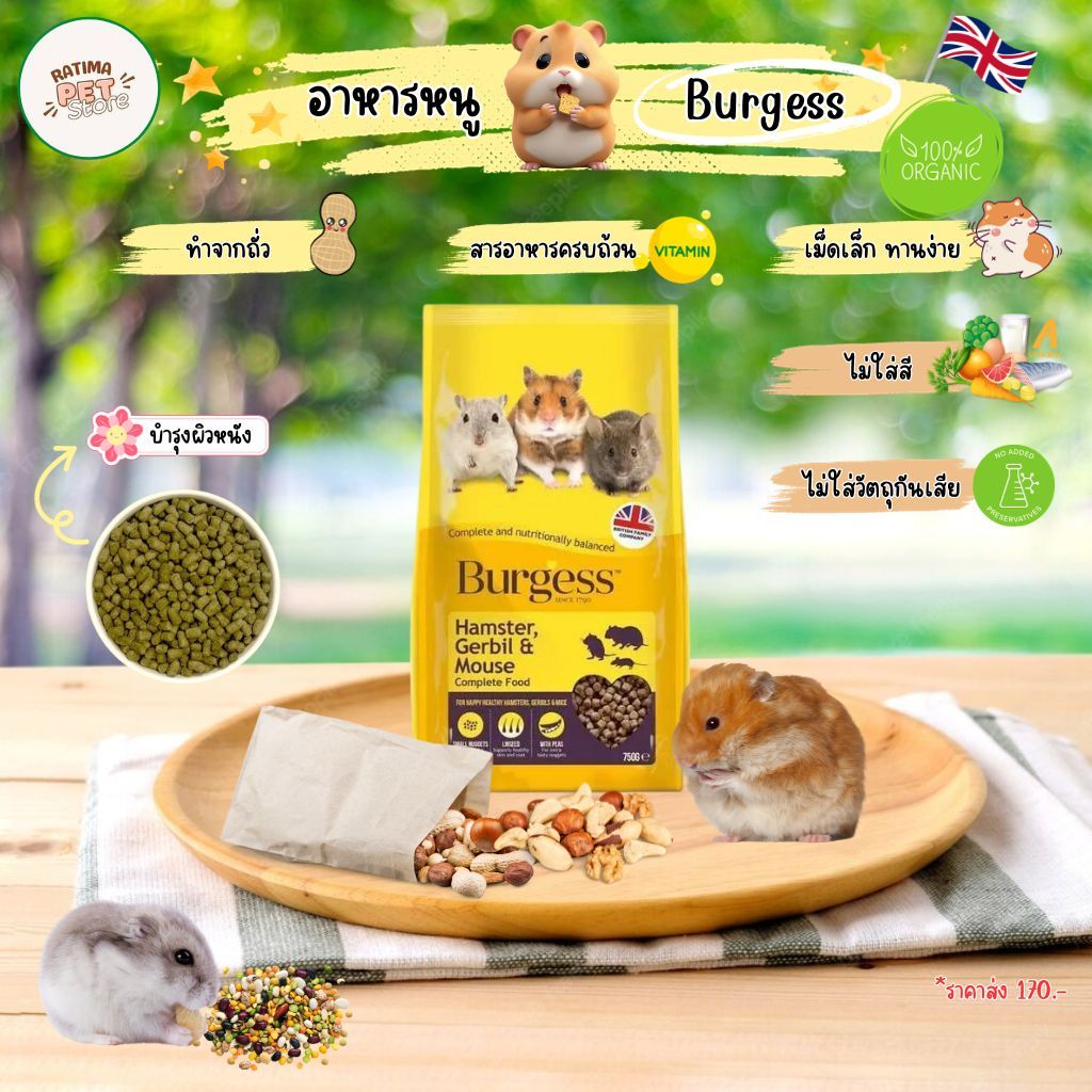 Hamster Food Gerbil Dumbo Rat Burgess Complete Nutrients Solve The