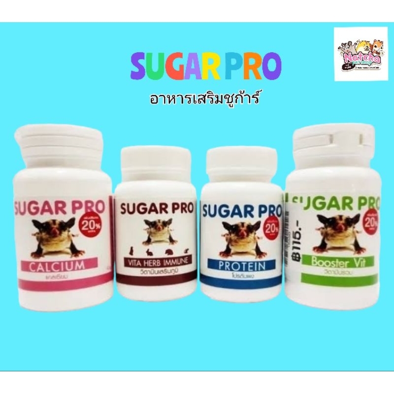 Sugar Pro Protein Supplement Vitamin E Calcium Glider Teething Rodent