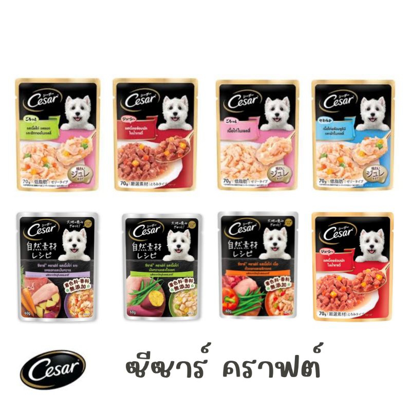 (6 Sachets) Cesar Crafred Pouch Dog Wet Food For Dogs Caesar Craft Size 6070 G. Shopee