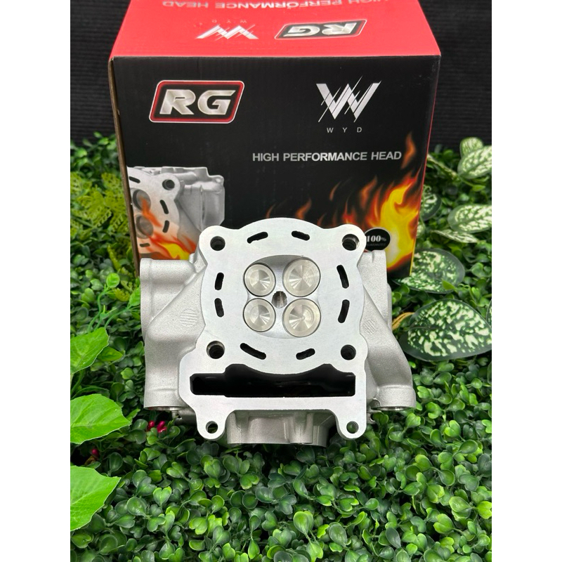 Laed-Gono Valve 19-22 Cylinder Head Rg Work New With Cnc Open Pot ...