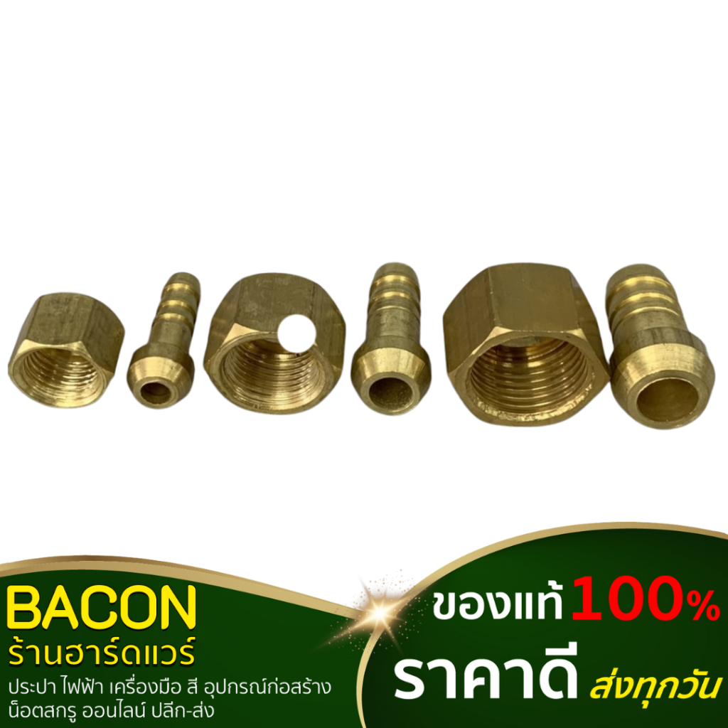 Brass Fish Tail Connector (Size 1/4