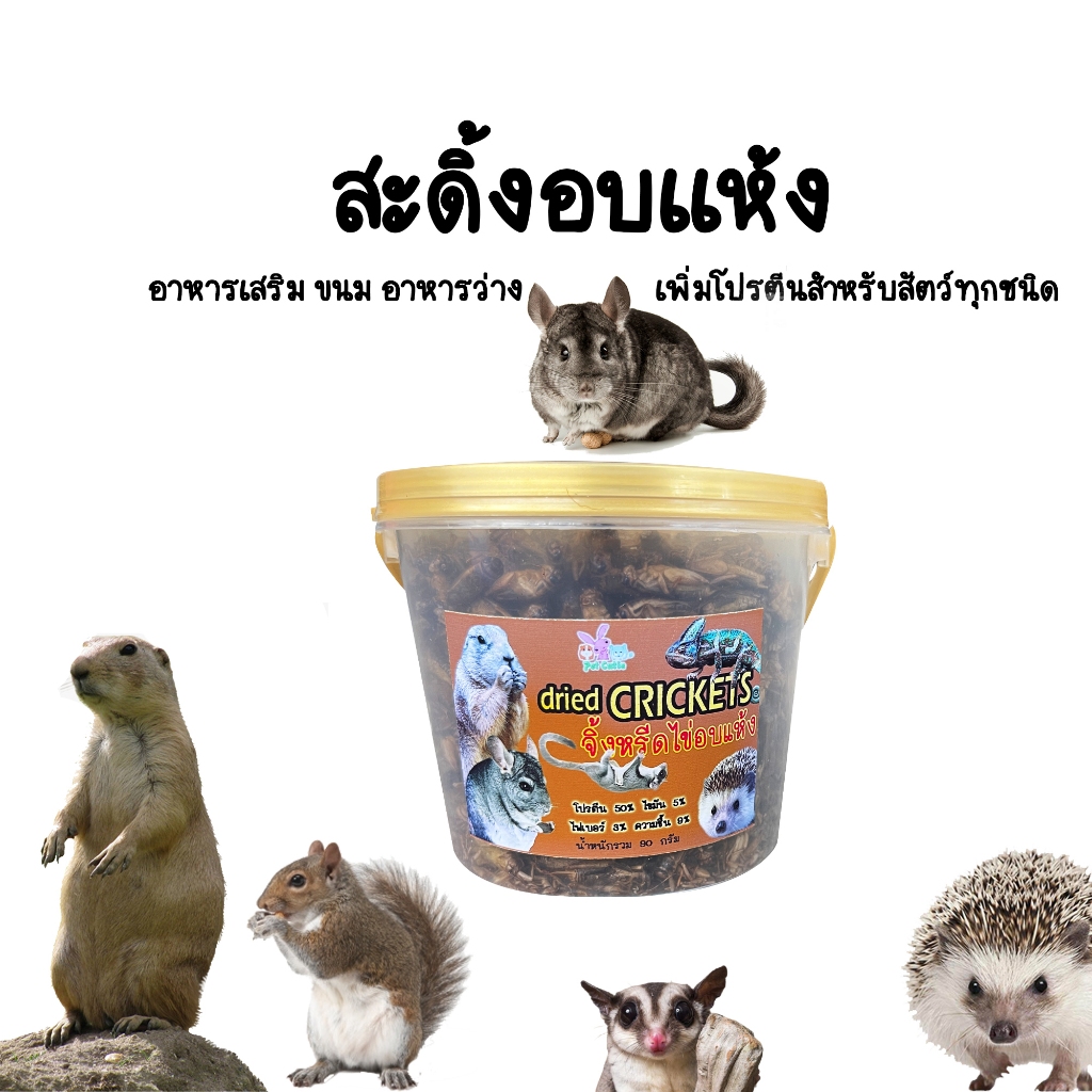 Fresh Mink Bird Worms Crickets Silk Pillows Mix Insects For Hamsters