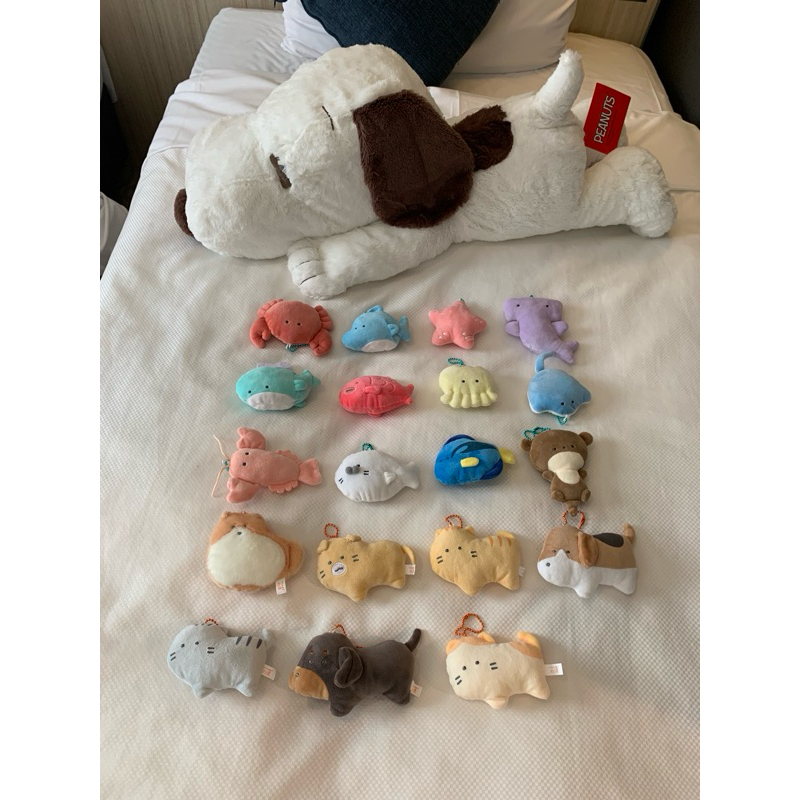 % Authentic Yell's Cat Dog Plush Toy | Shopee Philippines