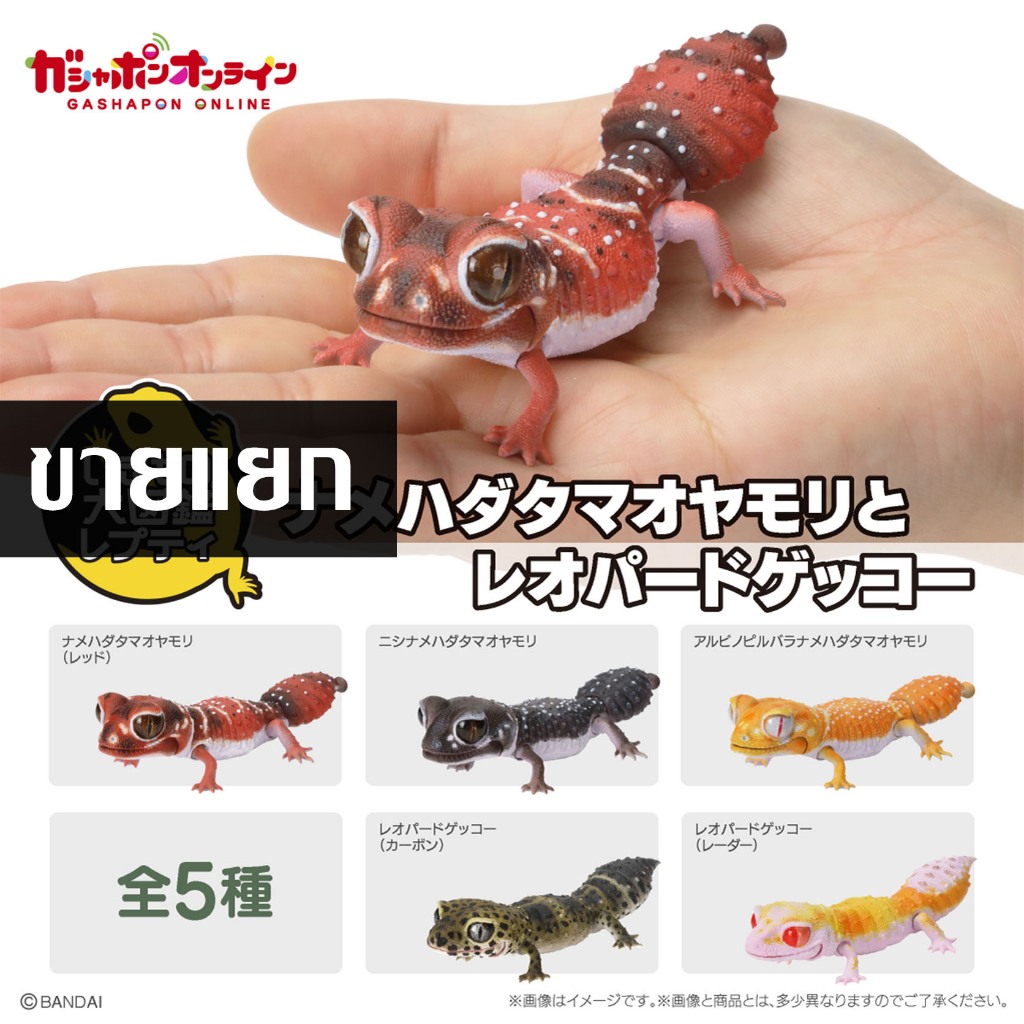 Ikimono Encyclopedia 02 - Set Di 4 Figure Di Larve (bruchi) Da Collezione, Gashapon, Circa 12 Cm, Bandai