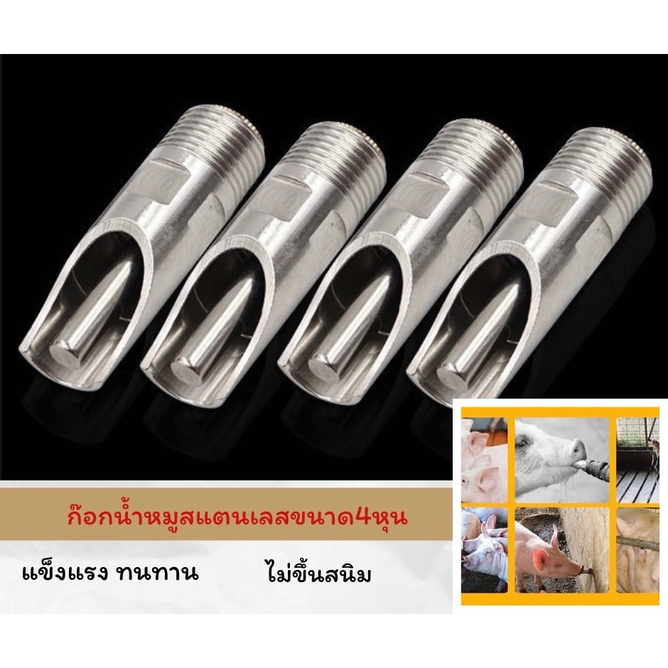 LIGHT PJ shop Pork Water Faucet Stainless Steel 1/2 "Thread Size 4 Inch