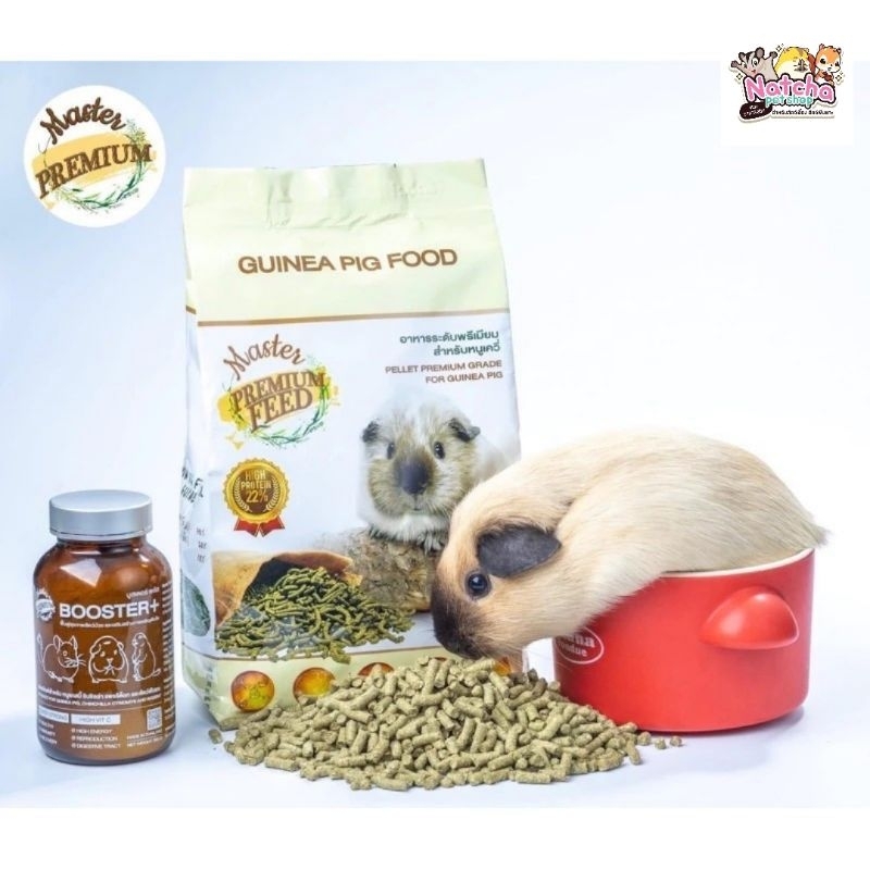 Master Permium guinea pig food Vitamin Supplement Gatsby Chinchilla For ... - Guinea Pig Food And Supplement Requiring Iron